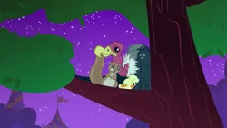 Size: 2880x1620 | Tagged: animal, bird, buzzard, derpibooru import, duckling, night, safe, scared, screencap, sitting in a tree, squirrel, the best night ever, tree branch, vulture