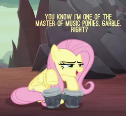 Size: 449x411 | Tagged: safe, derpibooru import, edit, edited screencap, screencap, fluttershy, pegasus, pony, sweet and smoky, bongos, cropped, female, implied garble, implied octavia, implied vinyl scratch, looking at someone, mare, master of music, narrowed eyes, solo