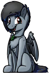 Size: 2718x4032 | Tagged: safe, artist:topicranger, derpibooru import, oc, oc:topic, unofficial characters only, pegasus, pony, 2020 community collab, derpibooru community collaboration, brown eyes, chest fluff, colored, jewelry, looking at you, male, necklace, simple background, sitting, smiling, smiling at you, solo, stallion, transparent background, wings