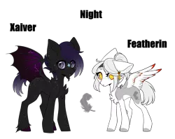 Size: 2835x2255 | Tagged: safe, artist:ohhoneybee, derpibooru import, oc, oc:featherin, oc:xavier, unofficial characters only, bat pony, pegasus, pony, base used, female, male, mare, simple background, stallion, transparent background