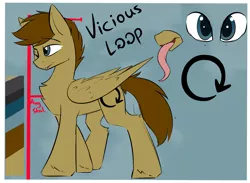 Size: 2209x1621 | Tagged: safe, artist:beardie, derpibooru import, oc, oc:vicious loop, unofficial characters only, pegasus, cutie mark, long tongue, male, reference sheet, stallion, tongue out