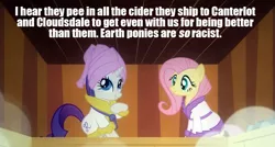 Size: 1155x620 | Tagged: safe, derpibooru import, edit, edited screencap, screencap, fluttershy, rarity, pony, unicorn, caption, cider, female, hypocrisy, implied piss drinking, mare, out of character, racism