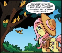 Size: 671x577 | Tagged: safe, artist:brendahickey, derpibooru import, idw, fluttershy, bird, pegasus, pony, spoiler:comic, spoiler:comic24, animal, bag, cropped, female, flock, flying, goldfinch, hat, mare, official comic, saddle bag, speech bubble, tree