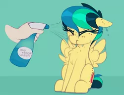 Size: 1069x820 | Tagged: safe, artist:shinodage, derpibooru import, oc, oc:apogee, unofficial characters only, human, pegasus, pony, apogee getting sprayed, bad pony, behaving like a bird, chest fluff, cute, diageetes, disembodied hand, eyes closed, female, filly, floppy ears, fluffy, freckles, hand, mare, meme origin, solo focus, spray bottle, water, wet
