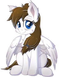 Size: 1500x1950 | Tagged: safe, artist:bigshot232, artist:kooriiko, derpibooru import, oc, oc:blue skies, unofficial characters only, pegasus, pony, 2020 community collab, derpibooru community collaboration, cheek fluff, chest fluff, ear fluff, female, looking at you, mare, simple background, sitting, solo, transparent background
