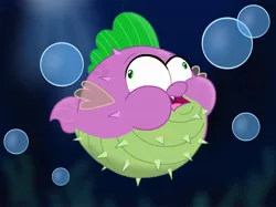 Size: 2732x2048 | Tagged: artist:justsomepainter11, big eyes, bubble, derpibooru import, fish, inflation, my little pony: the movie, puffer fish, puffy cheeks, safe, species swap, spike, spike the pufferfish, underwater