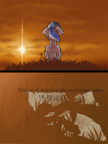 Size: 1200x1600 | Tagged: safe, artist:ravistdash, derpibooru import, oc, oc:ravist, pegasus, pony, comic:about me, chinese text, cloud, female, filly, sad, sky, solo, this will end in tears, translation, wine bottle