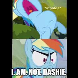 Size: 500x500 | Tagged: safe, derpibooru import, edit, edited screencap, screencap, fluttershy, rainbow dash, pegasus, pony, spike at your service, tanks for the memories, angry, caption, dialogue, do i look angry, female, image macro, inhaling, looking at you, mare, meme, offscreen character, text, wings