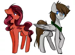 Size: 900x666 | Tagged: safe, artist:avimod, derpibooru import, oc, oc:ceiji, oc:fuselight, unofficial characters only, earth pony, pegasus, pony, female, male, mare, simple background, stallion, white background