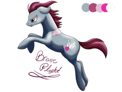 Size: 2828x2121 | Tagged: safe, artist:dreamyartcosplay, derpibooru import, oc, oc:brave flight, unofficial characters only, earth pony, pony, earth pony oc, male, rearing, reference sheet, scar, simple background, solo, stallion, text, transparent background