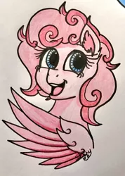 Size: 853x1200 | Tagged: safe, artist:shinycyan, derpibooru import, pinkie pie, pegasus, pony, leak, spoiler:g5, bust, g5, pegasus pinkie pie, pinkie pie (g5), race swap, redesign, traditional art, wings