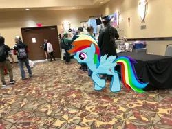 Size: 4032x3024 | Tagged: safe, derpibooru import, photographer:undeadponysoldier, rainbow dash, human, pegasus, pony, augmented reality, clothes, convention, cosplay, costume, dealer room, exit sign, female, gameloft, ichibancon, irl, irl human, luigi, mare, photo, ponies in real life, super mario bros.