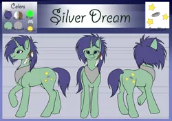 Size: 2912x2059 | Tagged: safe, artist:dreamyartcosplay, derpibooru import, oc, oc:silver dream, unofficial characters only, pony, unicorn, feather, horn, peytral, raised hoof, reference sheet, underhoof, unicorn oc