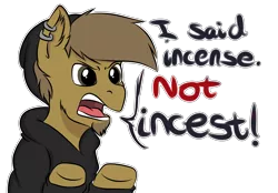 Size: 3933x2732 | Tagged: suggestive, artist:almond evergrow, derpibooru import, oc, oc:almond evergrow, earth pony, pony, angry, clothes, hoodie, idubbbz, inside joke, male, meme, stallion