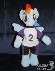 Size: 1024x1320 | Tagged: safe, artist:allunacraft, derpibooru import, rainbow dash, anthro, pony, semi-anthro, anthro plushie, bipedal, clothes, female, irl, mare, pants, photo, plushie, shirt, solo, spread wings, wings