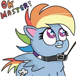 Size: 1024x1024 | Tagged: suggestive, artist:poniidesu, derpibooru import, rainbow dash, pegasus, pony, my little pony: pony life, collar, female, femsub, heart eyes, leash, looking up, mare, master, meme, ok boomer, pet play, pet-dash, simple background, smiling, solo, speech, submissive, talking, text, transparent background, wingding eyes, wings