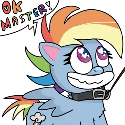 Size: 1024x1024 | Tagged: suggestive, alternate version, artist:poniidesu, derpibooru import, rainbow dash, pegasus, pony, my little pony: pony life, collar, drawthread, female, femsub, grin, heart eyes, leash, looking up, mare, master, ok boomer, pet play, pet-dash, simple background, smiling, solo, speech, submissive, talking, text, transparent background, wingding eyes, wings