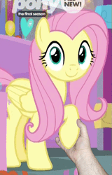 Size: 425x665 | Tagged: safe, derpibooru import, edit, edited screencap, editor:hotkinkajou, screencap, fluttershy, human, pegasus, pony, she's all yak, animated, cropped, cute, dancing, disembodied hand, female, gif, hand, holding hands, holding hooves, hotkinkajou is trying to murder us, mare, party soft, shyabetes, smiling