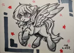 Size: 1136x810 | Tagged: safe, artist:peaceanya0206, derpibooru import, oc, unofficial characters only, pegasus, pony, solo