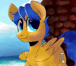 Size: 2461x2160 | Tagged: safe, artist:shibaroll, deleted from derpibooru, derpibooru import, oc, oc:crushingvictory, pegasus, pony, chest fluff, cliff, folded wings, ocean, smiling, solo, wave, wings