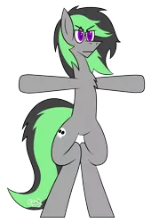 Size: 1500x2200 | Tagged: safe, artist:b-cacto, derpibooru import, oc, oc:elli, unofficial characters only, earth pony, asserting dominance, bipedal, male, simple background, solo, stallion, t pose, transparent background