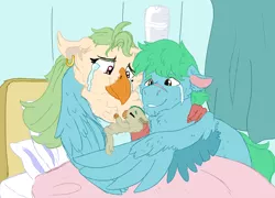 Size: 2500x1800 | Tagged: safe, artist:euspuche, derpibooru import, captain celaeno, oc, oc:azure glide, oc:gale blitzwing, hippogriff, parrot pirates, pegasus, my little pony: the movie, azurlaeno, canon x oc, couple, crying, female, hospital, hug, interspecies offspring, male, newborn, offspring, parent:captain celaeno, parent:oc:azure glide, parents:azurlaeno, parents:canon x oc, pirate, smiling, straight