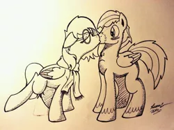 Size: 816x612 | Tagged: safe, artist:lucas_gaxiola, derpibooru import, oc, unofficial characters only, pegasus, pony, blushing, clothes, eyes closed, female, glasses, kissing, lineart, male, mare, oc x oc, pegasus oc, scarf, shipping, signature, stallion, traditional art, unshorn fetlocks, wings