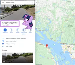 Size: 871x764 | Tagged: safe, derpibooru import, twilight sparkle, pony, unicorn, barely pony related, cute, directions, female, geography, google maps, happy, irl, mare, meme, photo, solo, text