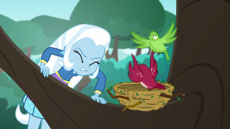 Size: 1280x720 | Tagged: safe, derpibooru import, screencap, trixie, bird, a little birdie told me, equestria girls, equestria girls series, bird nest, nest, tree, tree branch