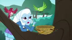 Size: 1280x720 | Tagged: safe, derpibooru import, screencap, trixie, bird, a little birdie told me, equestria girls, equestria girls series, bird nest, nest, solo, tree, tree branch