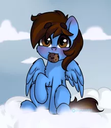 Size: 1000x1150 | Tagged: artist:cottonsweets, blushing, chest fluff, cloud, cookie, derpibooru import, food, leg fluff, looking at you, oc, oc:pegasusgamer, pegasus, safe, sitting, sky, wings