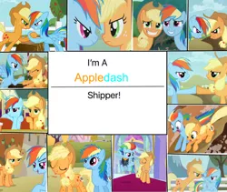 Size: 1280x1079 | Tagged: safe, artist:bla5t3r, derpibooru import, edit, edited screencap, screencap, applejack, rainbow dash, fall weather friends, non-compete clause, the last problem, the saddle row review, the ticket master, appledash, collage, female, granny smith's scarf, lesbian, older, older applejack, older rainbow dash, shipping