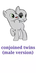 Size: 1080x2160 | Tagged: safe, artist:calebtyink, derpibooru import, earth pony, pony, base, conjoined, conjoined twins, male, multiple heads, stallion, template, two heads