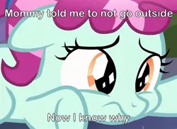 Size: 1000x727 | Tagged: suggestive, derpibooru import, edit, edited screencap, screencap, cherry valley, crystal pony, earth pony, season 9, the beginning of the end, spoiler:s09, caption, cropped, crystal filly, female, filly, imminent foalcon, imminent rape, imminent sex, save the filly, solo, stranger danger