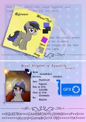 Size: 1475x2084 | Tagged: safe, artist:kiodima, derpibooru import, oc, oc:gamebrony, pegasus, pony, passport, reference