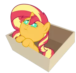 Size: 5081x4833 | Tagged: safe, artist:lanternomega, derpibooru import, sunset shimmer, pony, unicorn, baby, baby pony, babyset shimmer, box, puppy dog eyes, sad, sad eyes, simple background, solo, transparent background, vector