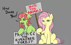 Size: 1233x780 | Tagged: safe, artist:jellymaggot, derpibooru import, fluttershy, tree hugger, earth pony, pegasus, pony, /mlp/, 4chan, drawthread, duo, greta thunberg, how dare you?, protecc, protest, sign, simple background, text