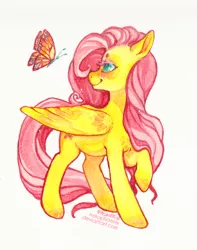 Size: 600x761 | Tagged: safe, artist:nekophoenix, derpibooru import, fluttershy, butterfly, pegasus, pony, cute, female, head turn, looking at something, mare, raised hoof, shyabetes, smiling, solo, standing, three quarter view, traditional art, watercolor painting, wings