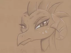 Size: 4400x3267 | Tagged: absurd resolution, artist:flutterstormreturns, bust, derpibooru import, dragon, dragoness, female, frown, grumpy, monochrome, pencil drawing, portrait, princess ember, safe, signature, solo, traditional art