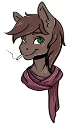 Size: 1624x2737 | Tagged: safe, derpibooru import, oc, oc:brewer, oc:noble brew, unofficial characters only, anthro, earth pony, bust, cigarette, clothes, ear fluff, scarf