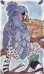 Size: 903x1491 | Tagged: safe, artist:crunchycrowe, derpibooru import, oc, oc:ruzeth, unofficial characters only, gryphon, feather, finch, male, nest, solo, species swap, traditional art, tree, tree branch, zebra finch