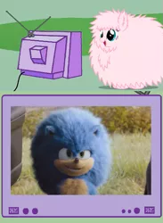 Size: 563x771 | Tagged: safe, derpibooru import, oc, oc:fluffle puff, unofficial characters only, pony, sheep, exploitable meme, meme, obligatory pony, sonic movie 2020, sonic the hedgehog, sonic the hedgehog (series), tv meme