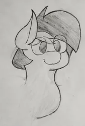 Size: 1884x2788 | Tagged: safe, artist:theartisttree, derpibooru import, oc, oc:theartis, earth pony, pony, head, male, pencil drawing, traditional art