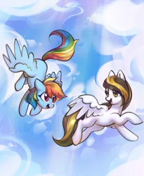 Size: 2626x3200 | Tagged: safe, artist:mirroredsea, derpibooru import, rainbow dash, oc, oc:tulpa twilight, pegasus, pony, cloud, commission, duo, flying, pegasus oc, sky, sun ray, white coat, wings