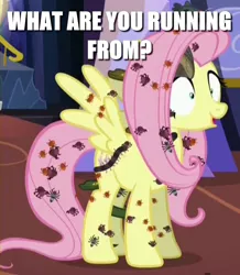 Size: 648x744 | Tagged: safe, derpibooru import, edit, edited screencap, screencap, fluttershy, insect, pegasus, pony, every little thing she does, adoracreepy, caption, creepy, cropped, cute, fiducia compellia, game boy camera, image macro, meme, solo, text