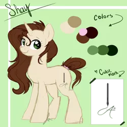 Size: 3000x3000 | Tagged: safe, artist:beashay, derpibooru import, oc, oc:shay, pony, unicorn, female, high res, mare, reference sheet, solo