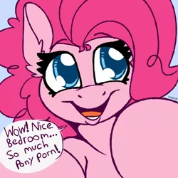 Size: 1000x1000 | Tagged: suggestive, artist:skoon, derpibooru import, pinkie pie, earth pony, pony, breaking the fourth wall, dialogue, female, mare, open mouth, smiling, solo, speech bubble, talking to viewer