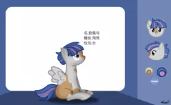 Size: 1465x900 | Tagged: safe, artist:99999999000, derpibooru import, oc, oc:liu peiqi, pegasus, pony, chinese text, female, filly, reference sheet, solo, younger