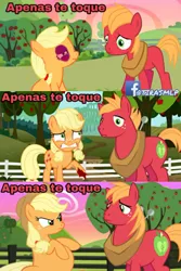 Size: 1309x1965 | Tagged: artist needed, source needed, semi-grimdark, derpibooru import, applejack, big macintosh, earth pony, pony, where the apple lies, abuse, and that's how apple bloom was made, applecest, applemac, black eye, blatant lies, blood, comic, female, filly, filly applejack, foal, impact font, incest, jackabuse, male, mare, menstruation, pregnant, shipping, spanish, stallion, straight, teenage applejack, teenager, younger
