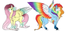 Size: 2776x1340 | Tagged: safe, artist:xxgrapehatzxx, derpibooru import, fluttershy, rainbow dash, pegasus, pony, colored wings, duo, feathered fetlocks, female, hooves, long mane, long tail, mare, missing cutie mark, multicolored wings, rainbow wings, smiling, smirk, wings